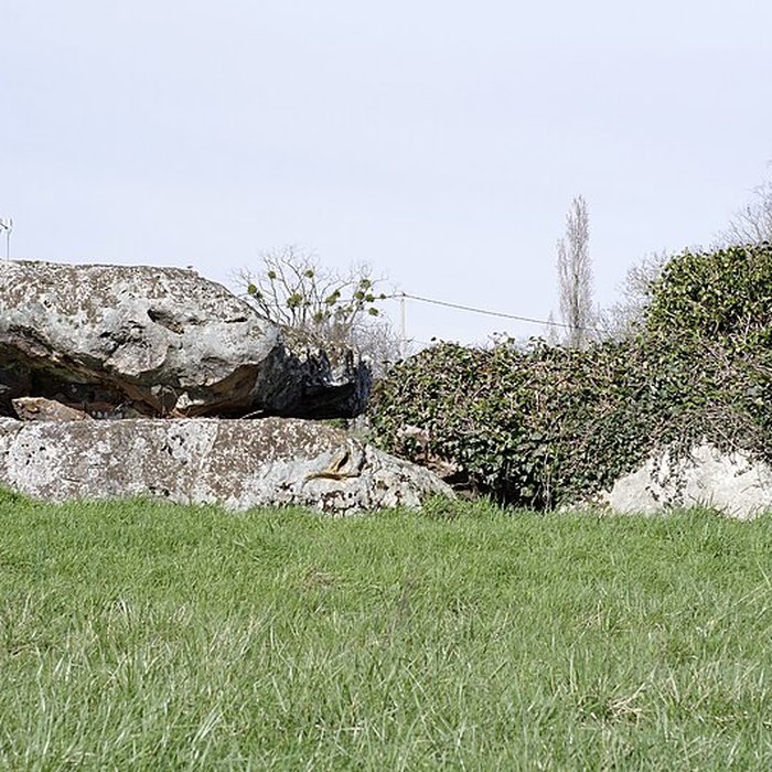 Photo de Dolmen de La Pierre et Cromlech de La Pierre à Moulins-sur-Céphons