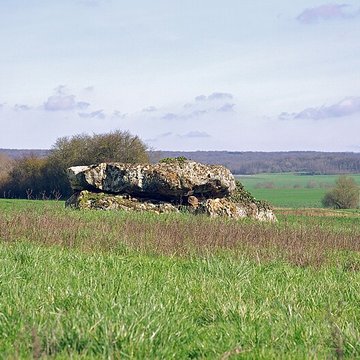 Dolmen de La Pierre et Cromlech de La Pierre à Moulins-sur-Céphons