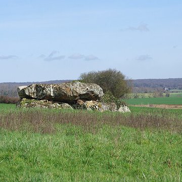 Dolmen de La Pierre et Cromlech de La Pierre à Moulins-sur-Céphons
