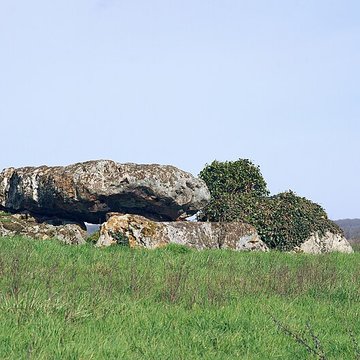 Dolmen de La Pierre et Cromlech de La Pierre à Moulins-sur-Céphons