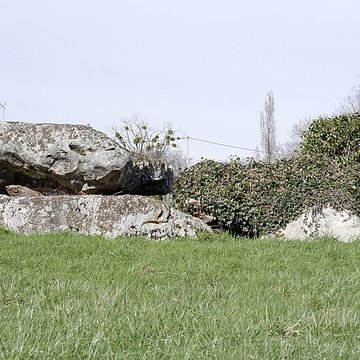 Dolmen de La Pierre et Cromlech de La Pierre à Moulins-sur-Céphons