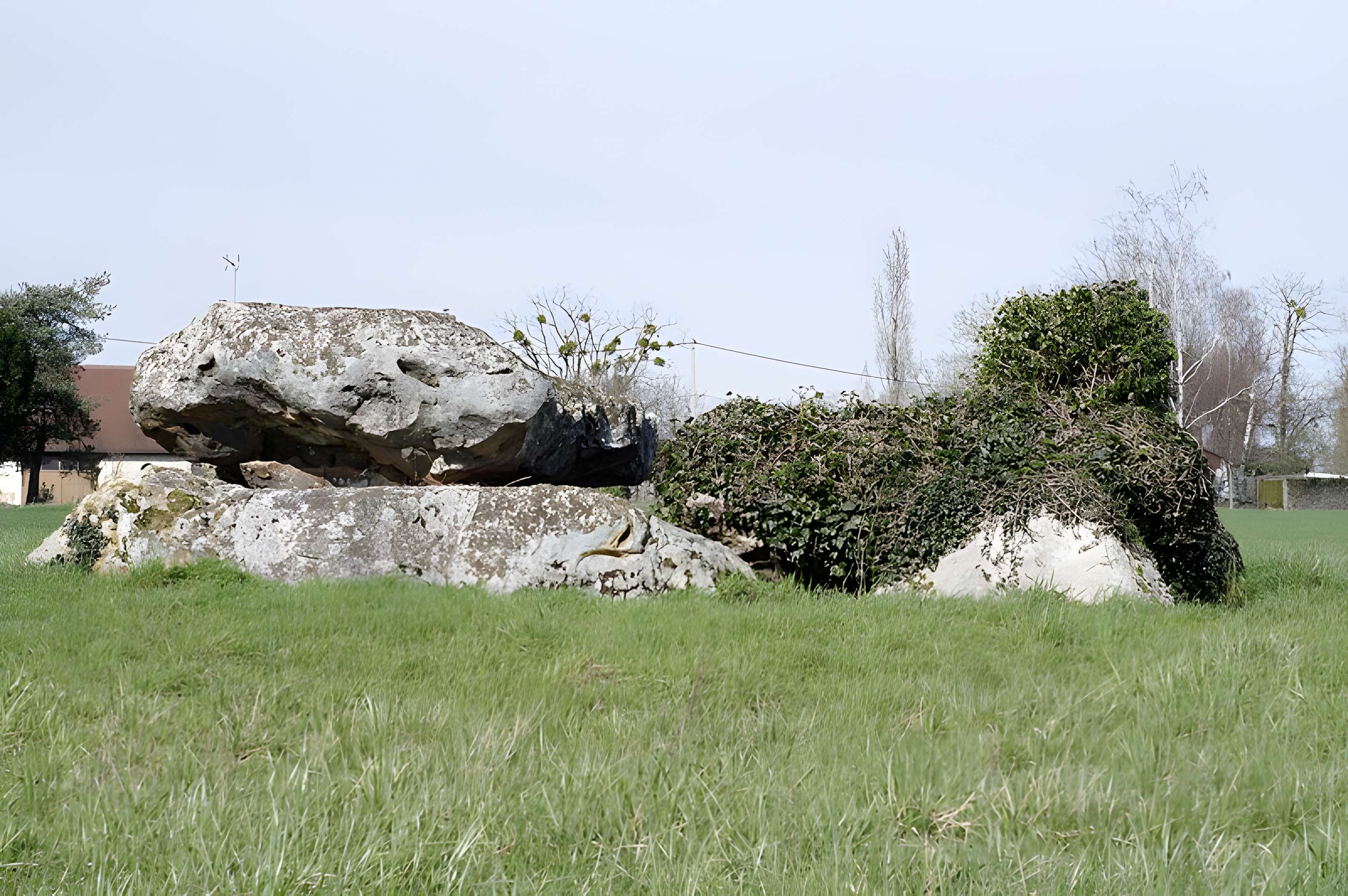 Dolmen de La Pierre et Cromlech de La Pierre à Moulins-sur-Céphons