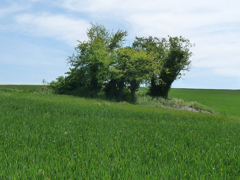 Photo de Dolmen de la Pierre Folle à Chenommet