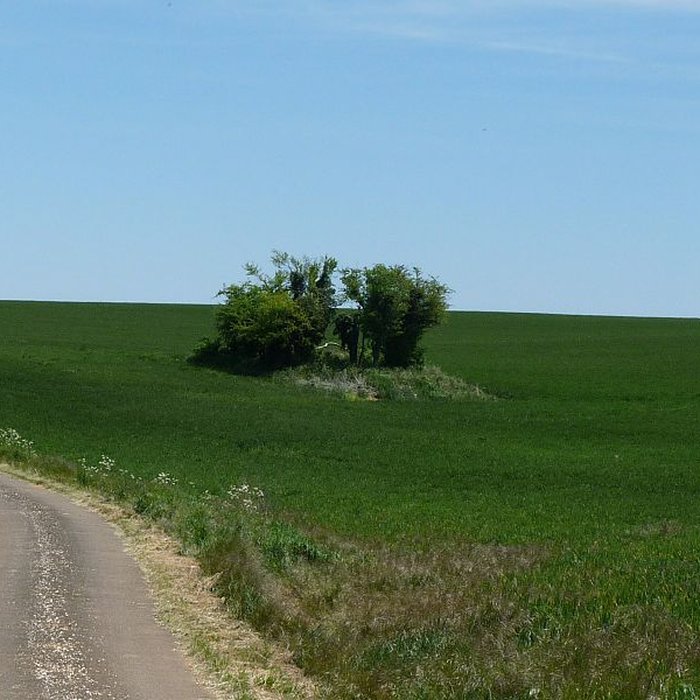 Photo de Dolmen de la Pierre Folle à Chenommet