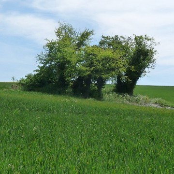 dolmen de la pierre folle a chenommet