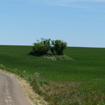 Dolmen de la Pierre Folle à Chenommet