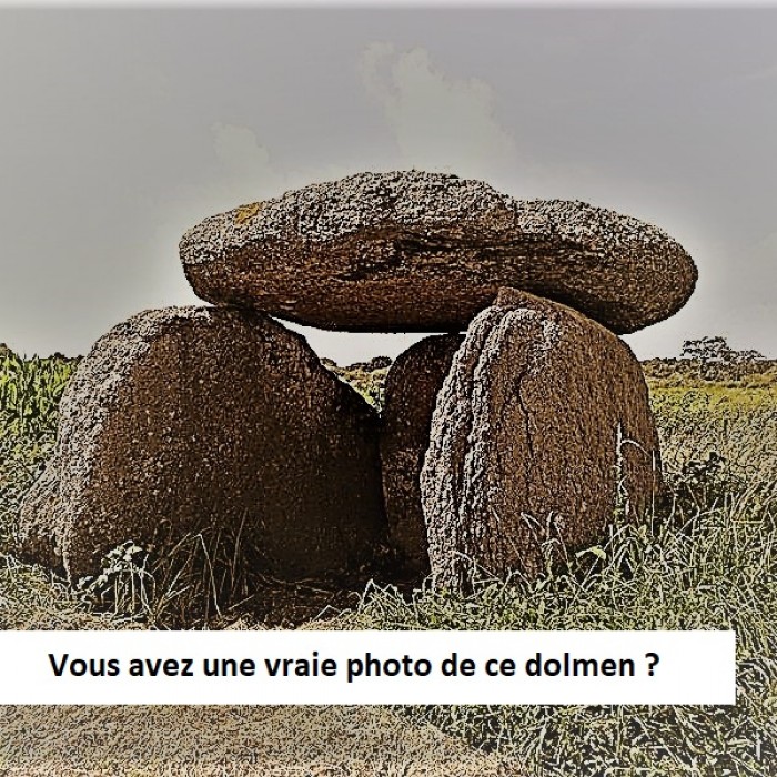Photo de Dolmen de La Pierre Folle à Thiré