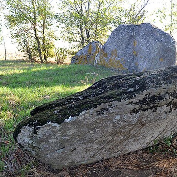 Photo de Dolmen de La Pierre Folle à Thiré
