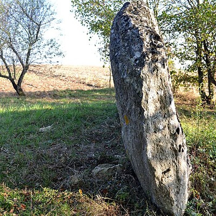 Photo de Dolmen de La Pierre Folle à Thiré