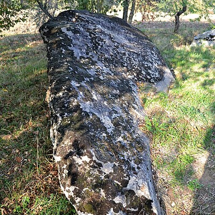 Photo de Dolmen de La Pierre Folle à Thiré