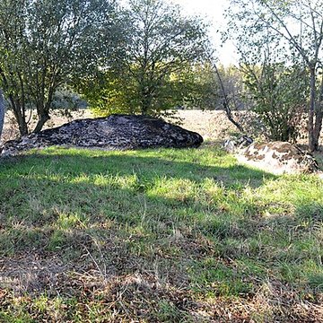 Dolmen de La Pierre Folle à Thiré