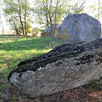Dolmen de La Pierre Folle à Thiré