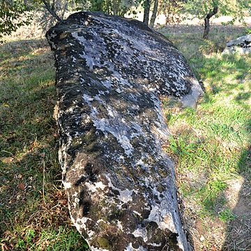 Dolmen de La Pierre Folle à Thiré