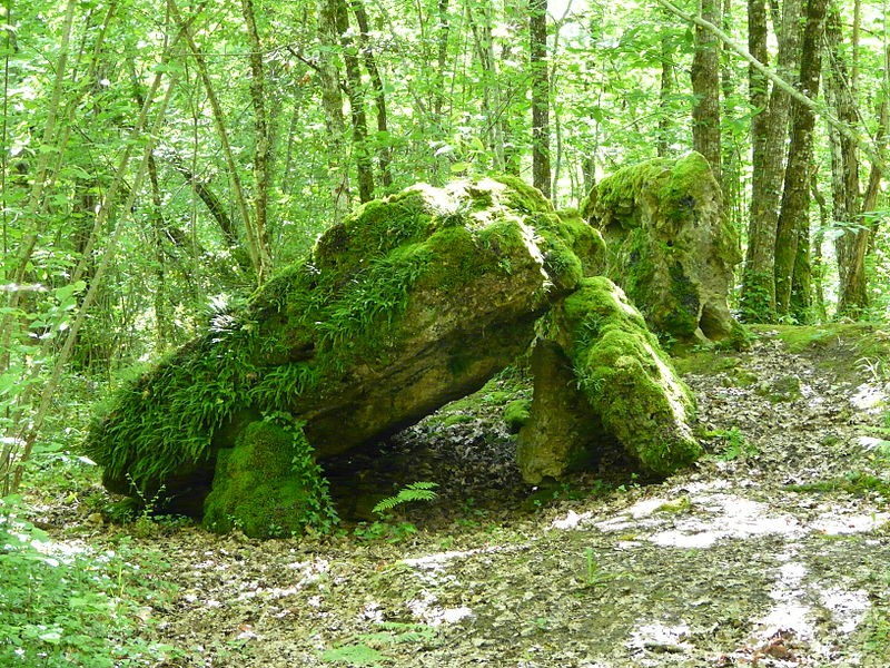 Photo de Dolmen de la Pierre Levée à Beauregard-et-Bassac