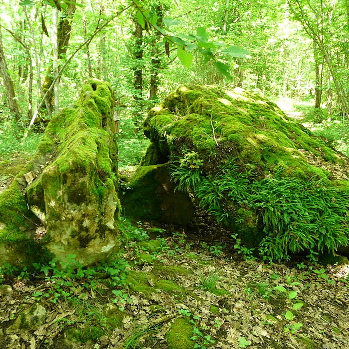 Photo de Dolmen de la Pierre Levée à Beauregard-et-Bassac
