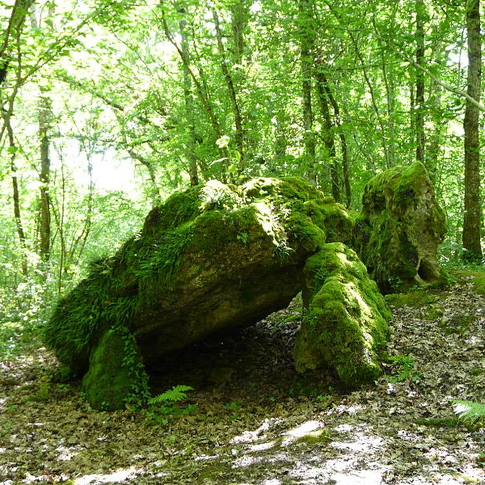 Photo de Dolmen de la Pierre Levée à Beauregard-et-Bassac
