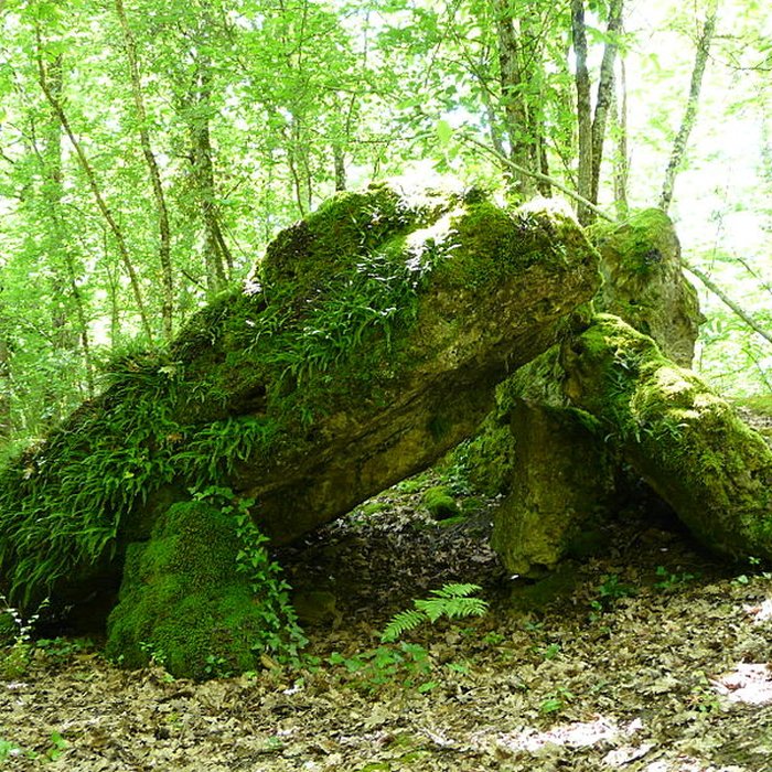 Photo de Dolmen de la Pierre Levée à Beauregard-et-Bassac