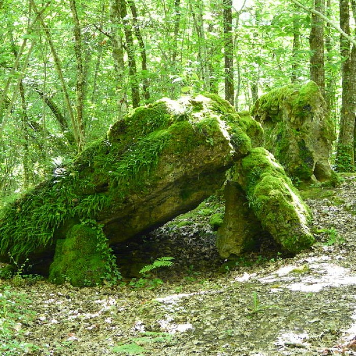 Photo de Dolmen de la Pierre Levée à Beauregard-et-Bassac