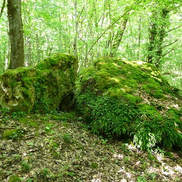 Dolmen de la Pierre Levée à Beauregard-et-Bassac