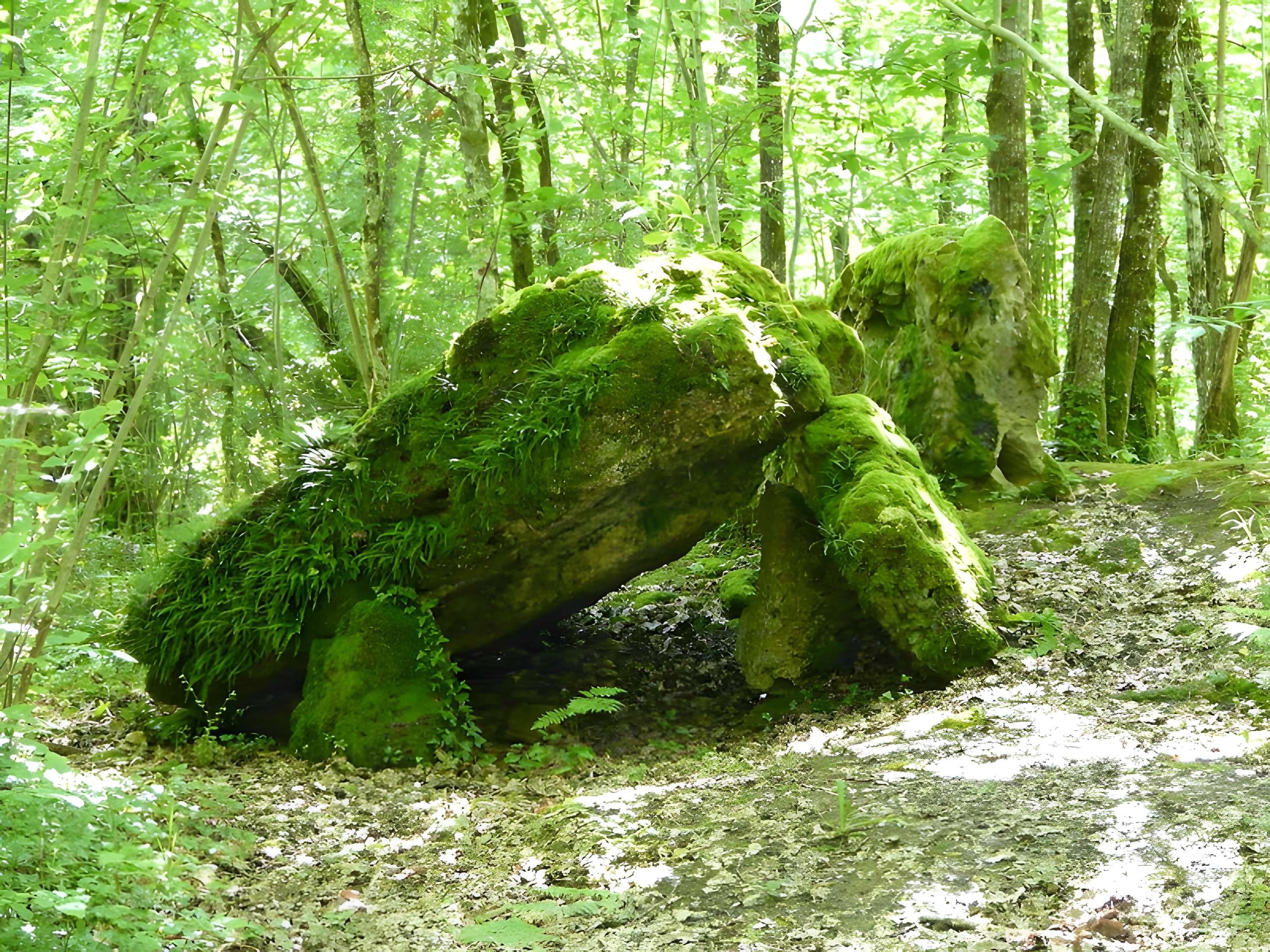 Dolmen de la Pierre Levée à Beauregard-et-Bassac 