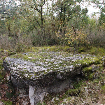 Dolmen de la Pierre Levée du Cloup Prioun à Sauliac-sur-Célé table