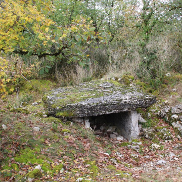 Dolmen de la Pierre Levée du Cloup Prioun à Sauliac-sur-Célé latéral droit