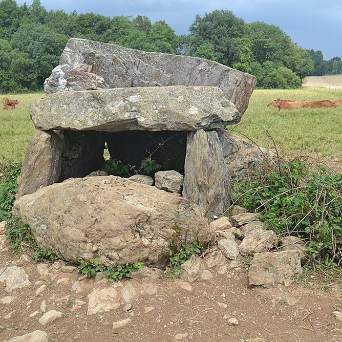 Photo de Dolmen de La Pierre-qui-vire à Cheffois