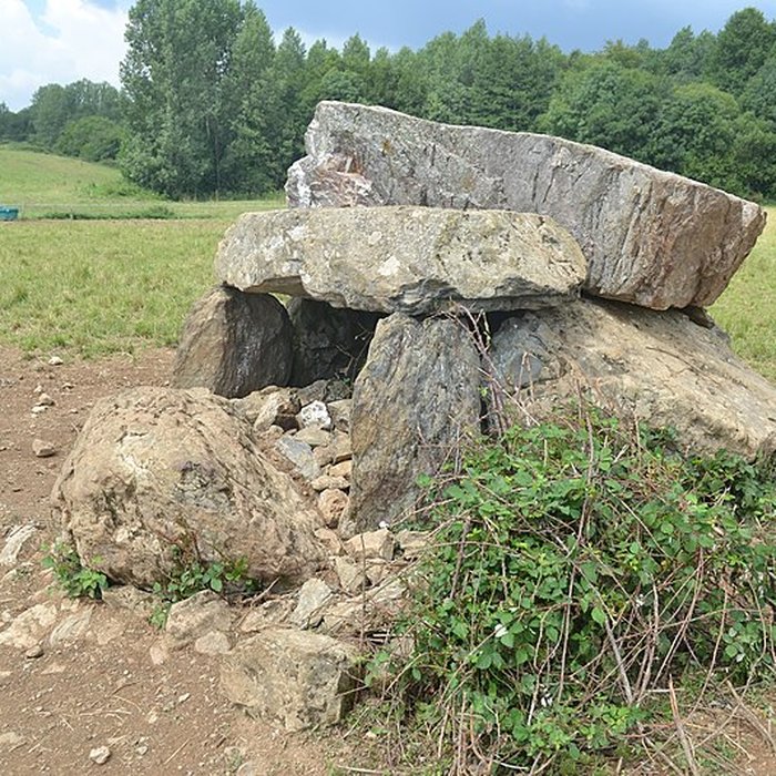 Photo de Dolmen de La Pierre-qui-vire à Cheffois