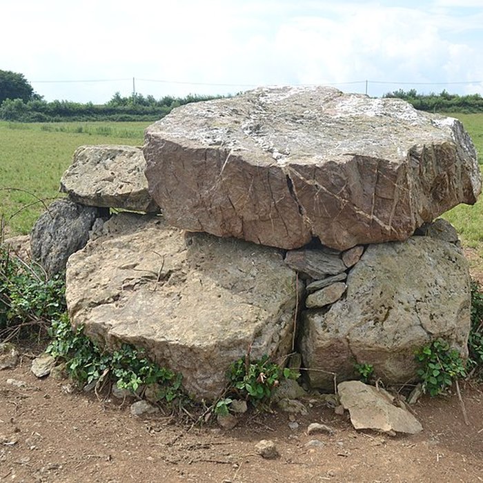 Photo de Dolmen de La Pierre-qui-vire à Cheffois