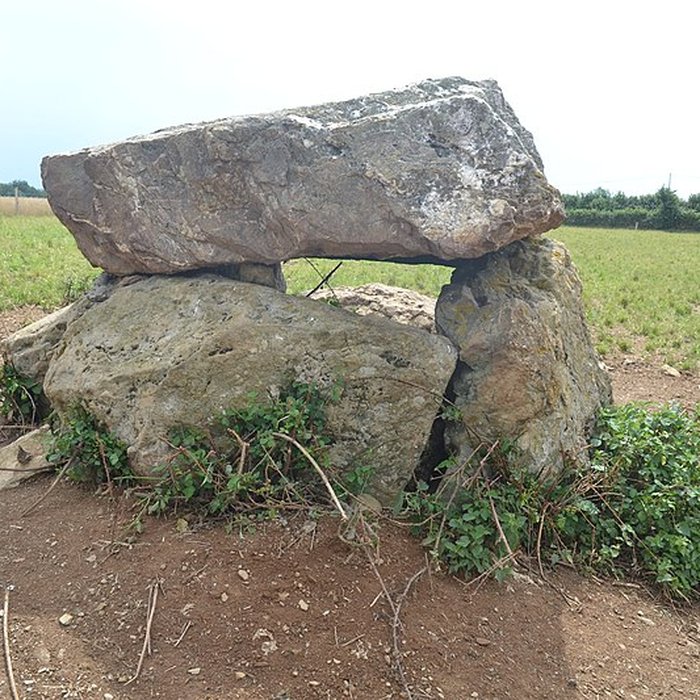Photo de Dolmen de La Pierre-qui-vire à Cheffois