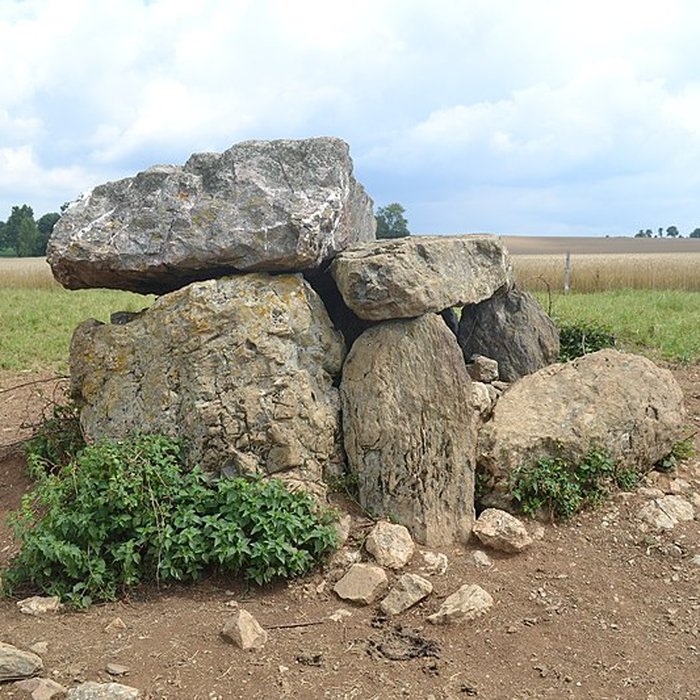 Photo de Dolmen de La Pierre-qui-vire à Cheffois