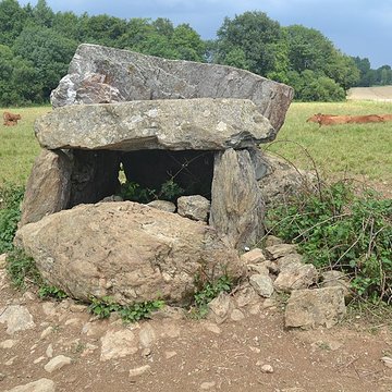 Dolmen de La Pierre-qui-vire à Cheffois
