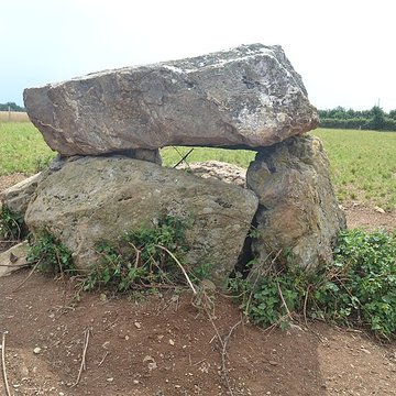 Dolmen de La Pierre-qui-vire à Cheffois