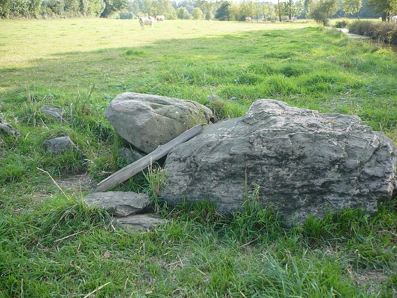 Photo de Dolmen de la Romme à Champtocé-sur-Loire