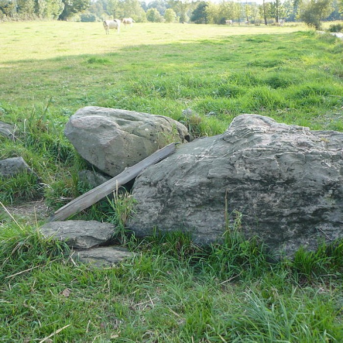 Photo de Dolmen de la Romme à Champtocé-sur-Loire