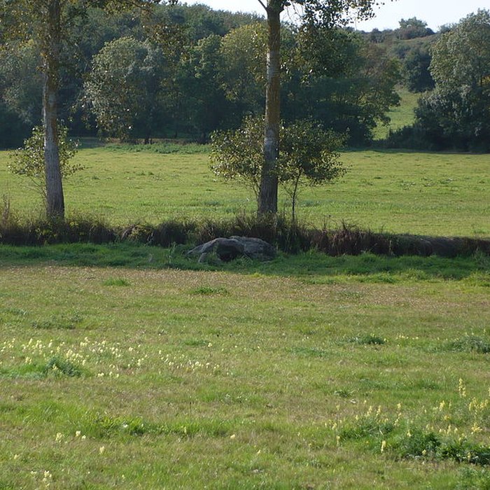Photo de Dolmen de la Romme à Champtocé-sur-Loire