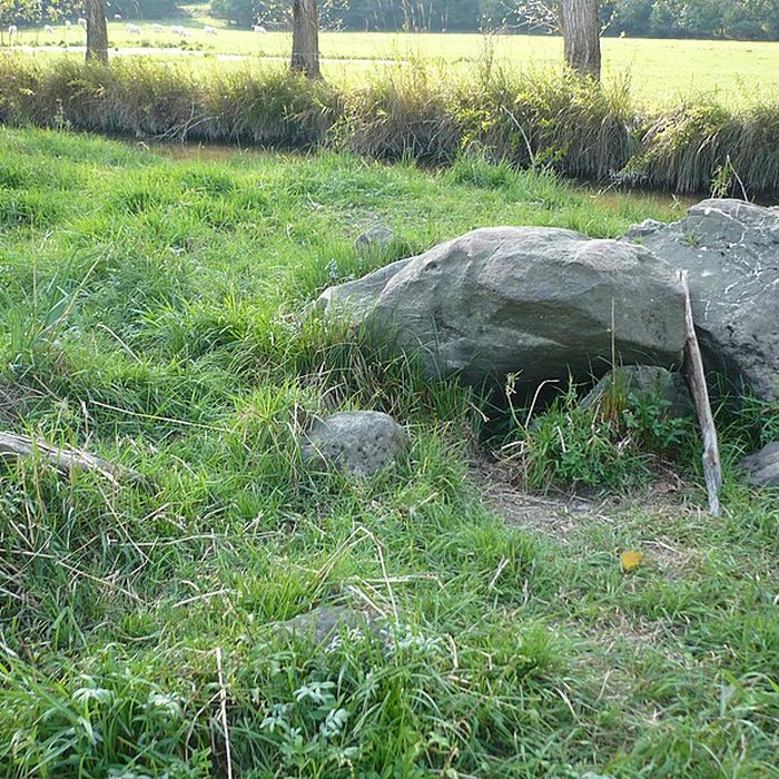 Photo de Dolmen de la Romme à Champtocé-sur-Loire