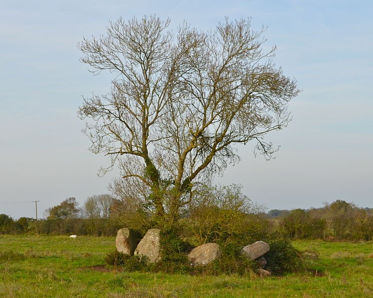 Photo de Dolmen de La Salle des Fées à Sainte-Pazanne