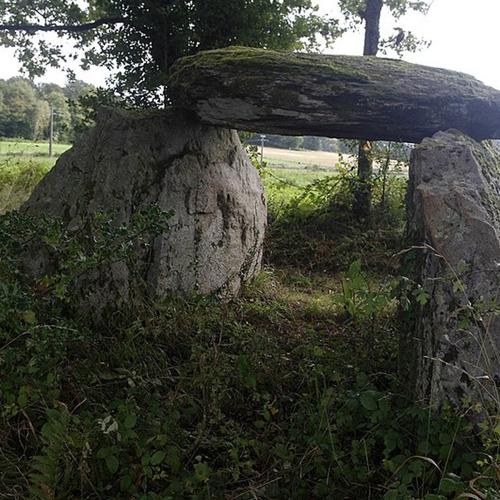 Photo de Dolmen de la Tamanie à Oradour-sur-Vayres