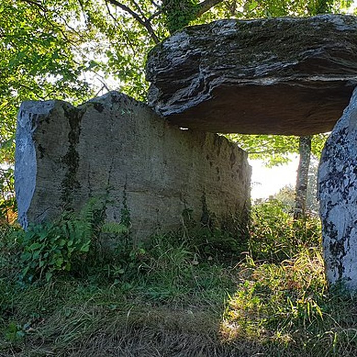 Photo de Dolmen de la Tamanie à Oradour-sur-Vayres