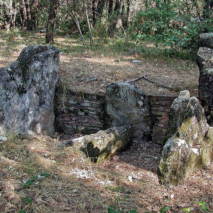 Photo de Dolmen de la Verrerie-Vieille à Tourrettes