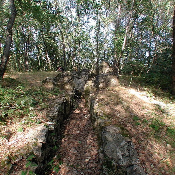 Photo de Dolmen de la Verrerie-Vieille à Tourrettes