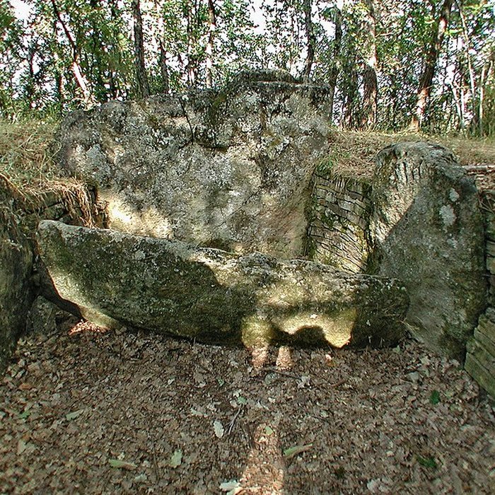 Photo de Dolmen de la Verrerie-Vieille à Tourrettes