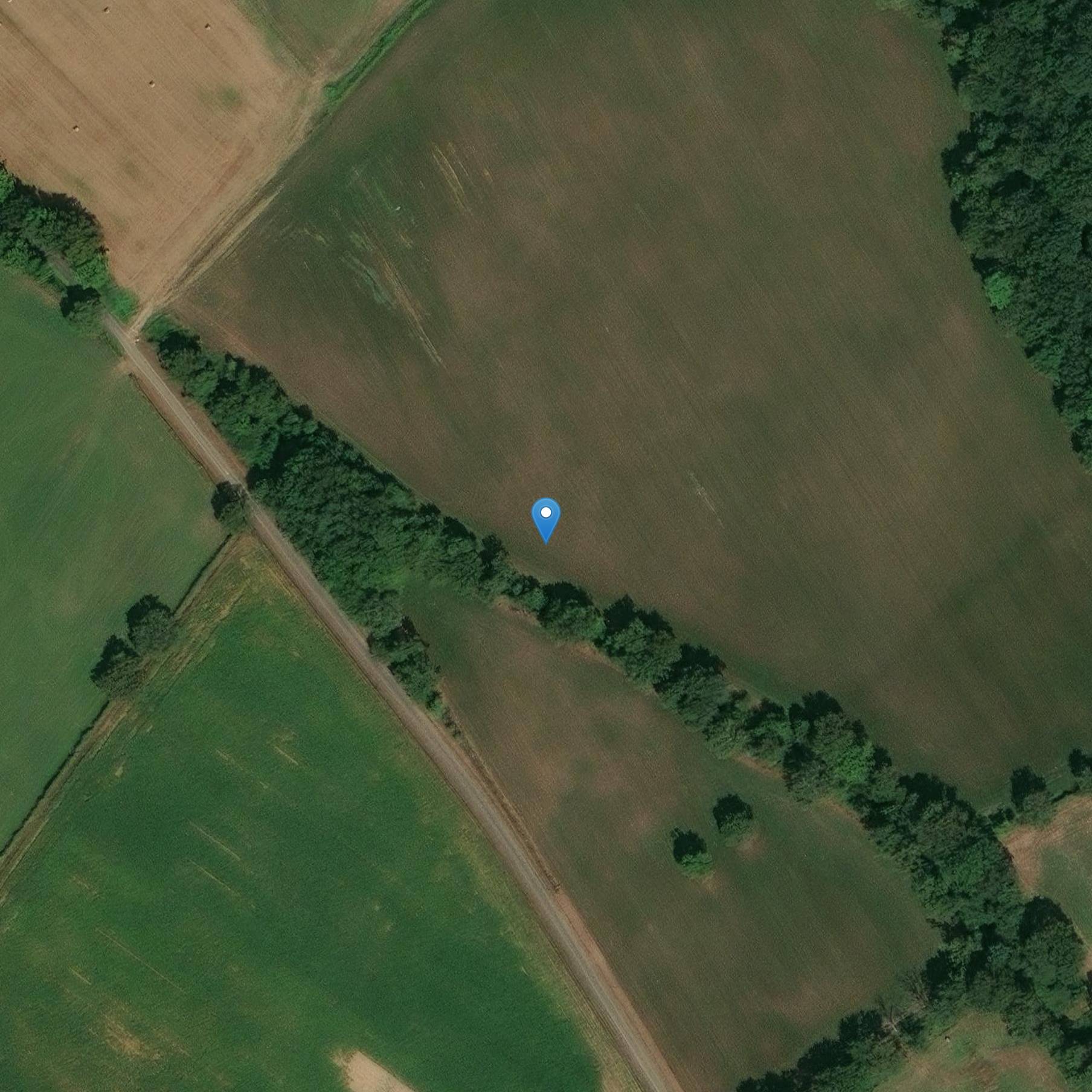 Photo de 多尔门·帕尔纳克