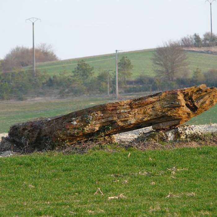 Photo de Dolmen de Laprougès à Valeuil
