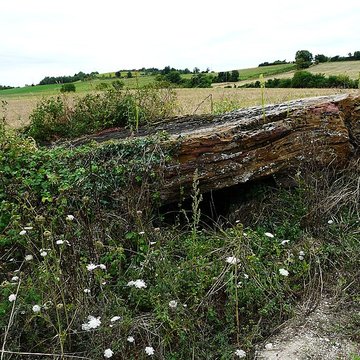 Dolmen de Laprougès à Valeuil