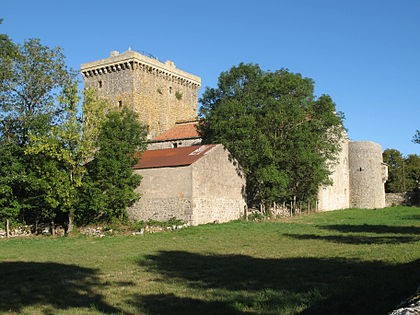 Photo de Tour du Viala-du-Pas-de-Jaux