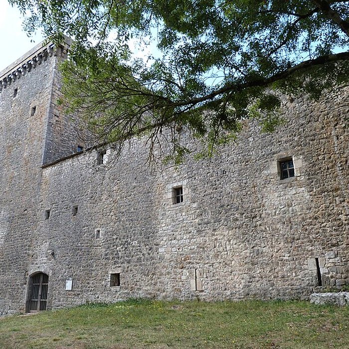 Photo de Tour du Viala-du-Pas-de-Jaux