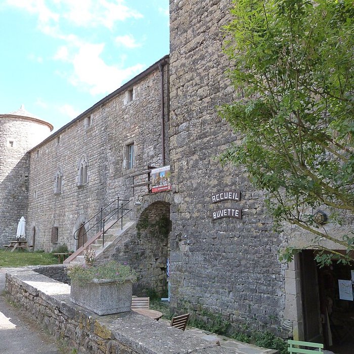 Photo de Tour du Viala-du-Pas-de-Jaux