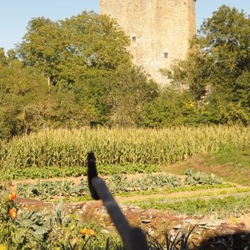 Tour du Viala-du-Pas-de-Jaux